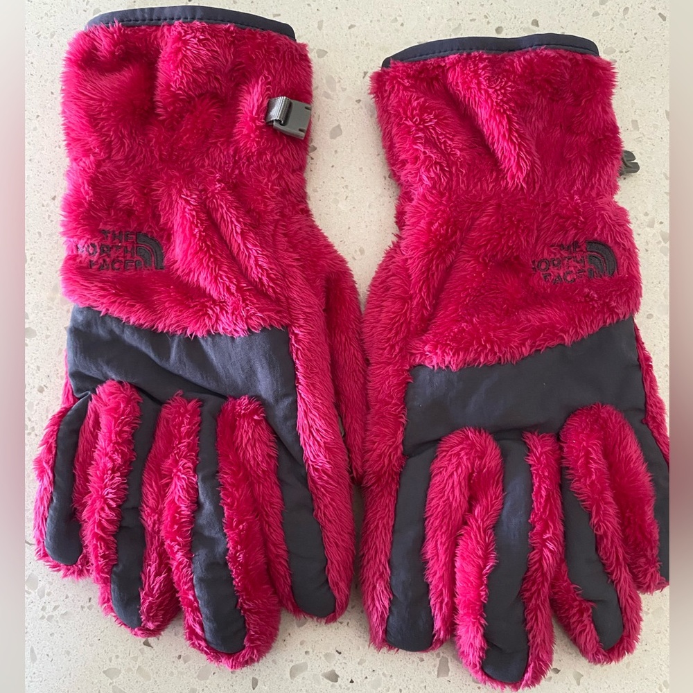 EUC The North Face Denali Gloves